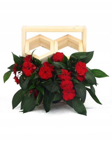 Kwietniki i donice - Drewniany ziołownik wertykalny RD-8/2x2 - Natur - product 4