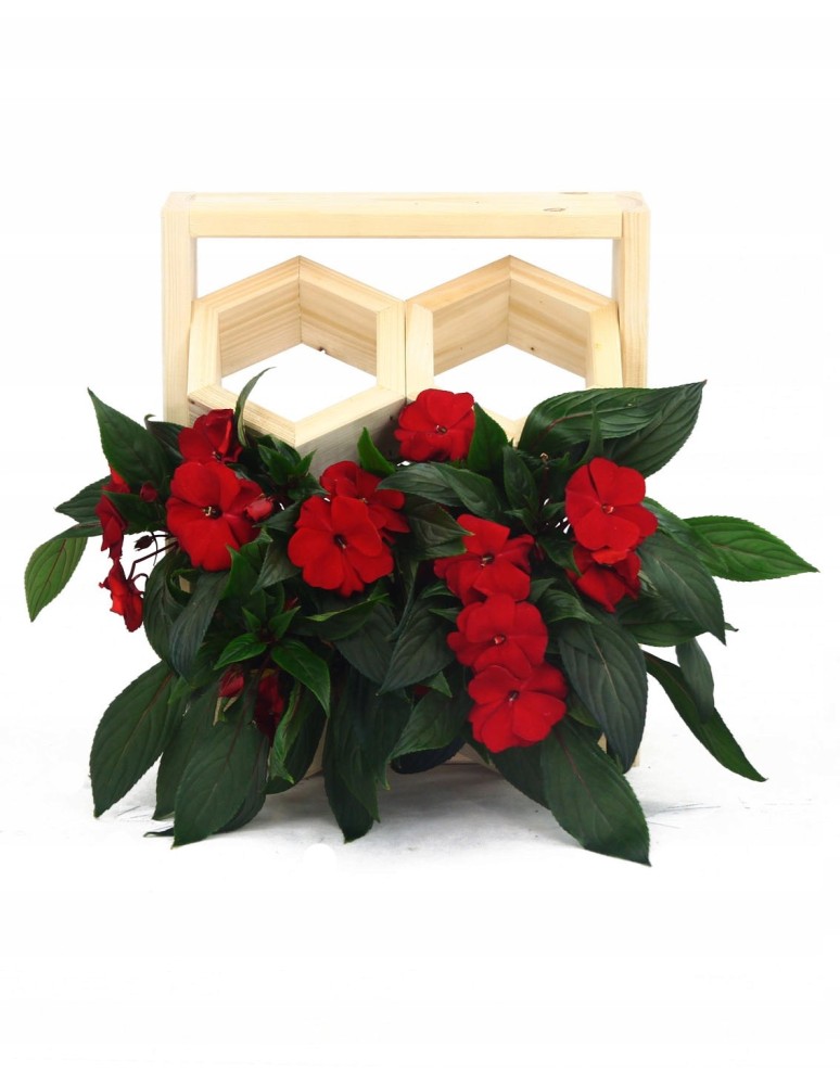 Kwietniki i donice - Drewniany ziołownik wertykalny RD-8/2x2 - Natur - product MODO24.PL 4