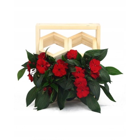 Drewniany ziołownik wertykalny RD-8/2x2 - Natur