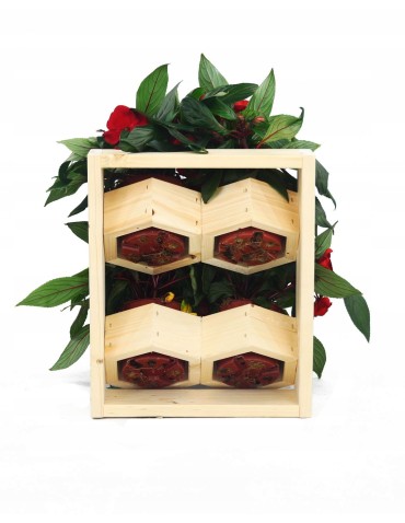 Kwietniki i donice - Drewniany ziołownik wertykalny RD-8/2x2 - Natur - product 11