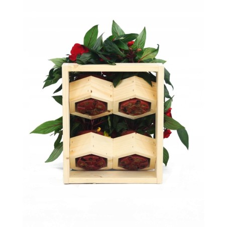 Drewniany ziołownik wertykalny RD-8/2x2 - Natur