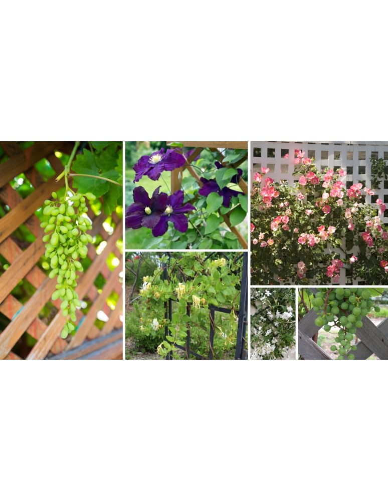 Dom i ogród - Drewniana donica RD-DNC /34x40x40cm/ Szara - product MODO24.PL 8