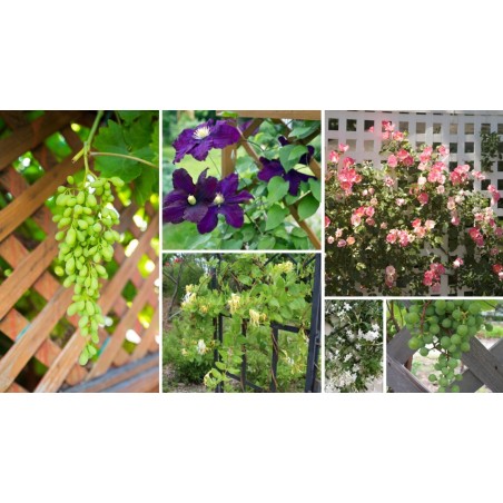 Drewniana donica RD-DNC /34x40x40cm/ Szara