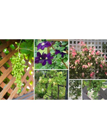 Dom i ogród - Drewniana donica RD-DNC /34x60x40cm/ Szara - product 8