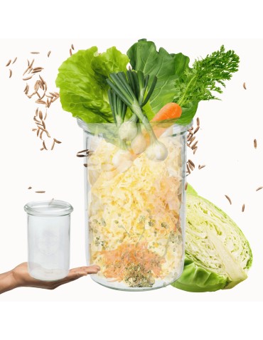 Słoiki i butelki - Słoiki WECK / żaroodporny słoik 1050ml 1l MOLD - product 11