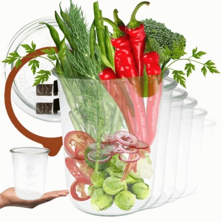 Słoiki WECK 6szt/ szkl. wieko,gumka, bl słoik 850ml MOLD