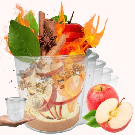 Słoiki WECK 6szt/ żaroodporny słoik 580ml MOLD