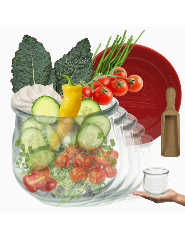 Słoiki WECK 12szt/ silikonowe wieko, miarka słoik 370ml TULIP