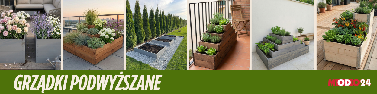 Grządki podwyższane